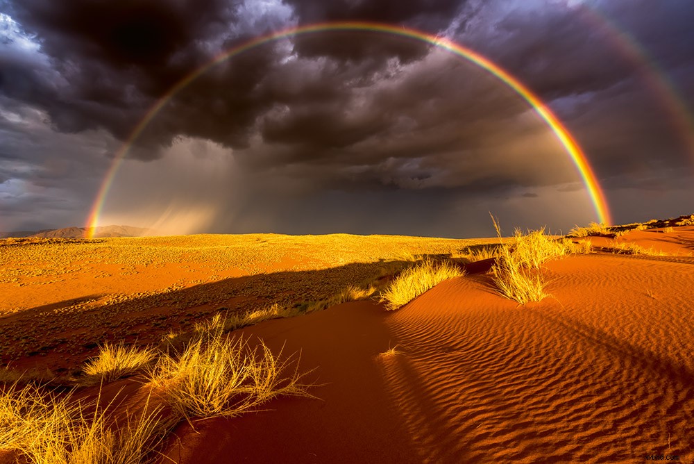 Top Landscape Photography Books to Ignite Your Creative Inspiration