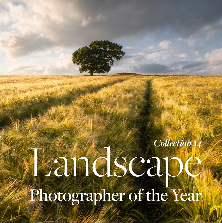 Top Landscape Photography Books to Ignite Your Creative Inspiration
