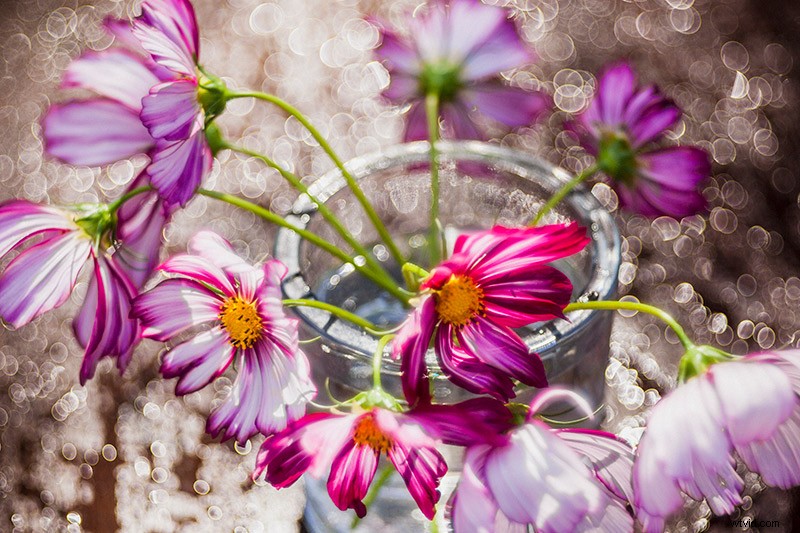 7 Expert Tips for Capturing Stunning Spring Flower Photos