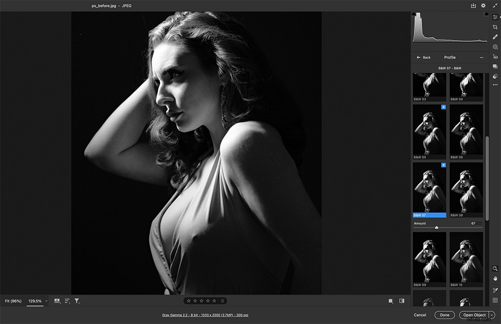 Top Black & White Photo Editing Software: Photoshop CC, DxO FilmPack & Silver Efex