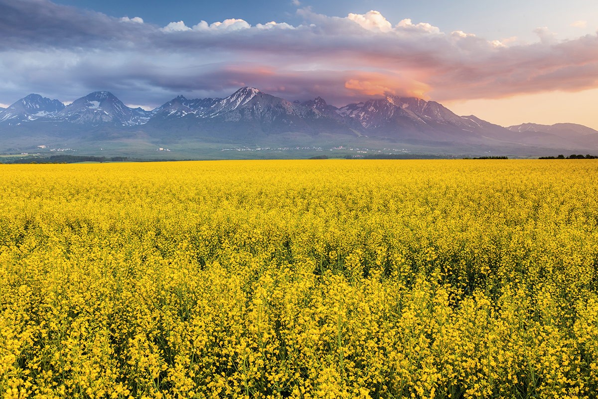 33 Pro Tips for Stunning Spring Landscape Photography from Top Experts