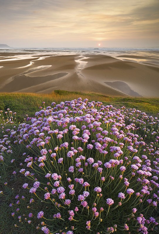 33 Pro Tips for Stunning Spring Landscape Photography from Top Experts