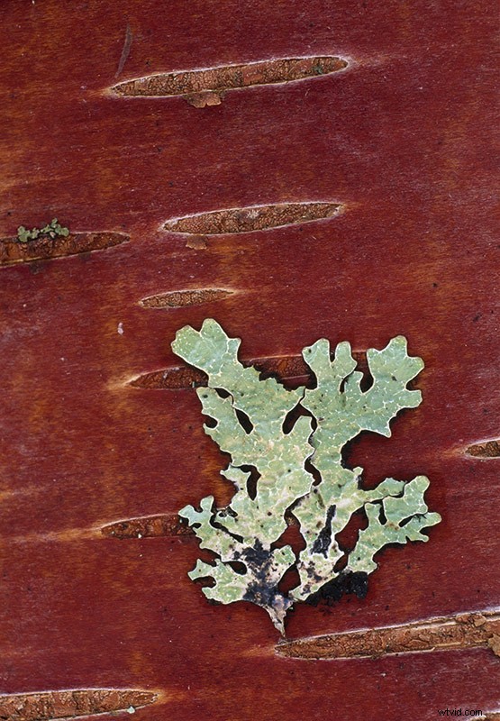 33 Pro Tips for Stunning Spring Landscape Photography from Top Experts