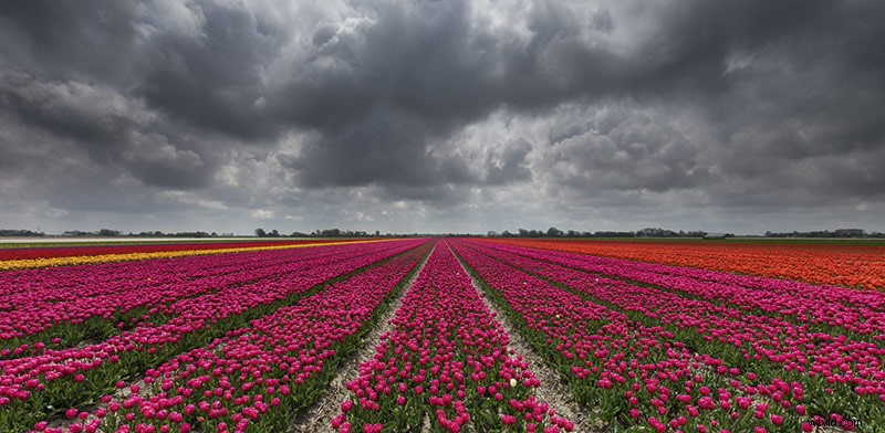 33 Pro Tips for Stunning Spring Landscape Photography from Top Experts