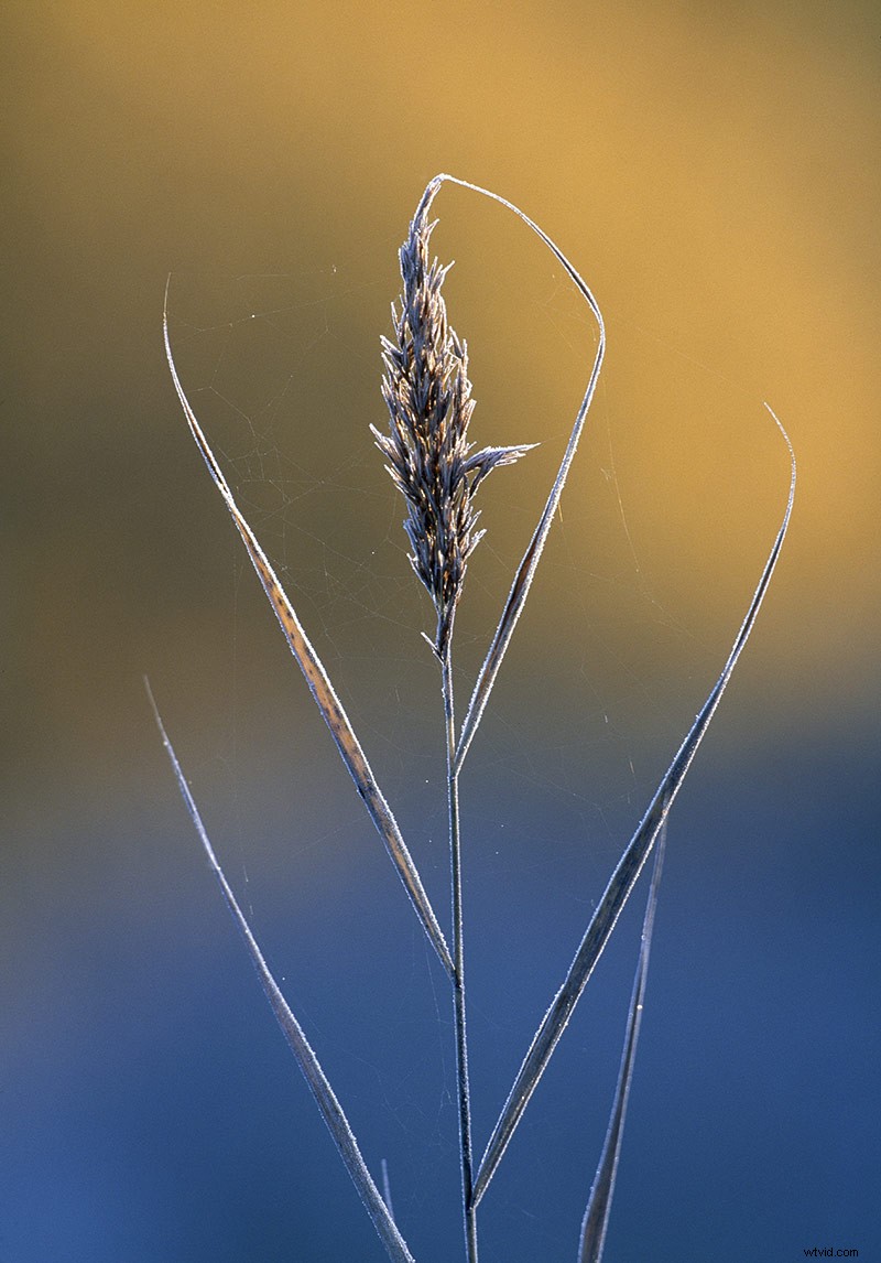33 Pro Tips for Stunning Spring Landscape Photography from Top Experts