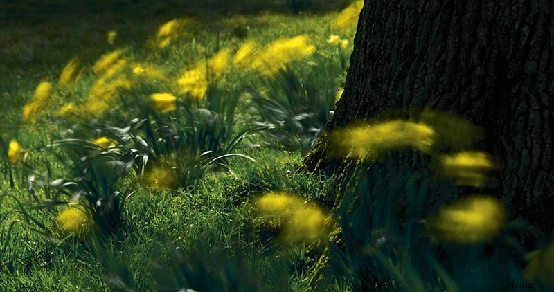 33 Pro Tips for Stunning Spring Landscape Photography from Top Experts