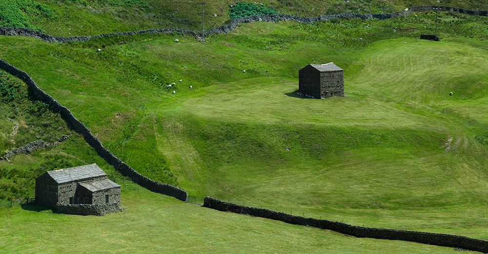 Master Photography Composition: Michael Freeman s Expert Guide