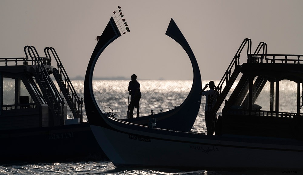 Master Photography Composition: Michael Freeman s Expert Guide