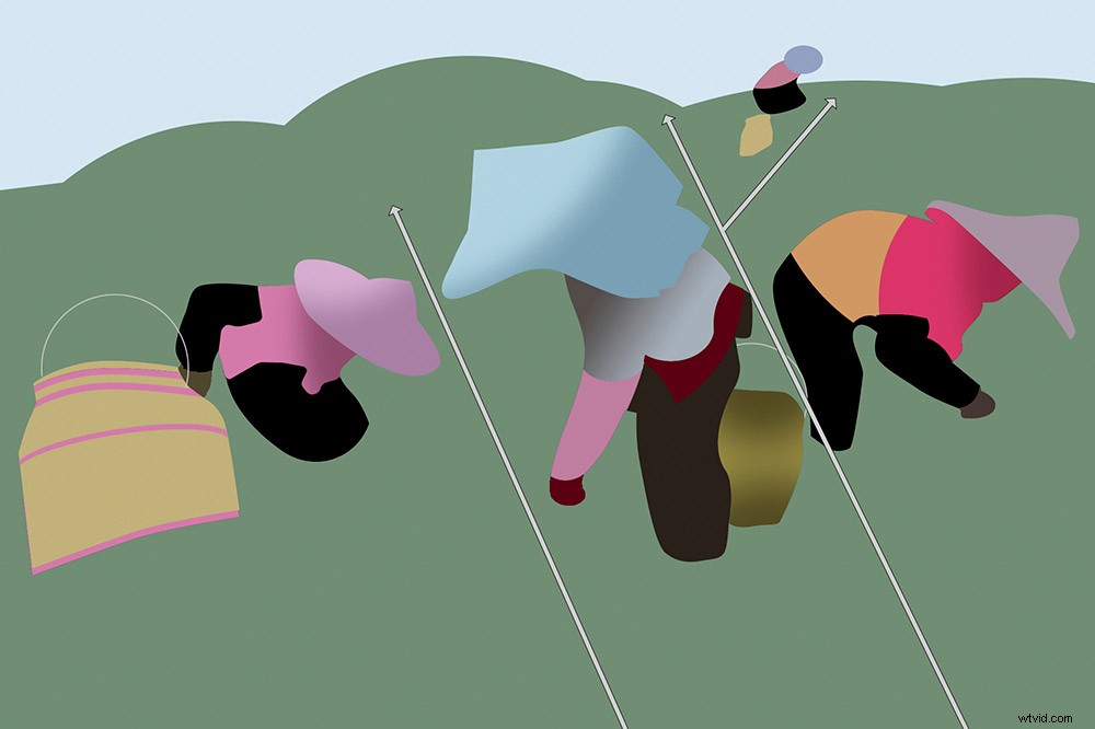 Master Photography Composition: Michael Freeman s Expert Guide