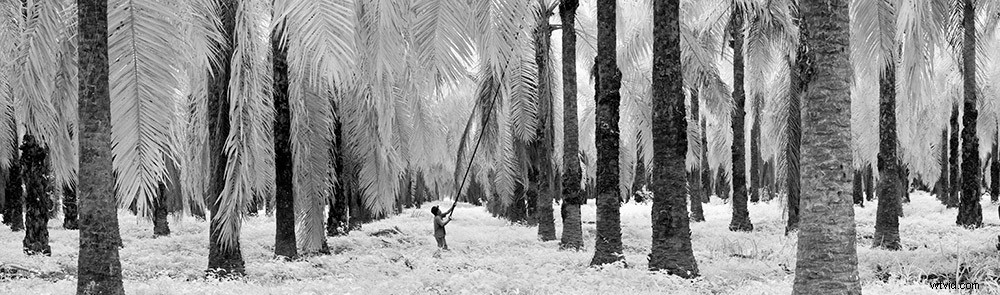 Master Photography Composition: Michael Freeman s Expert Guide