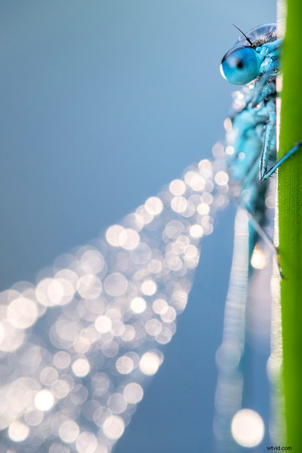 Expert Tips: Retain Highlights for Flawless Exposures Every Time