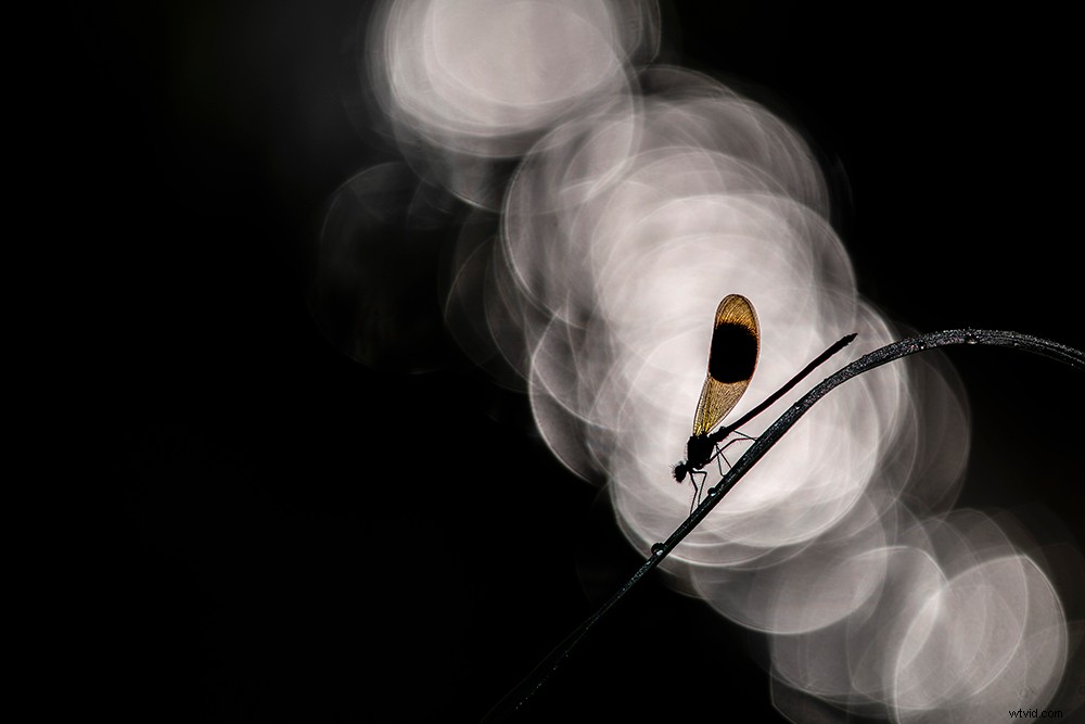 Expert Tips: Retain Highlights for Flawless Exposures Every Time