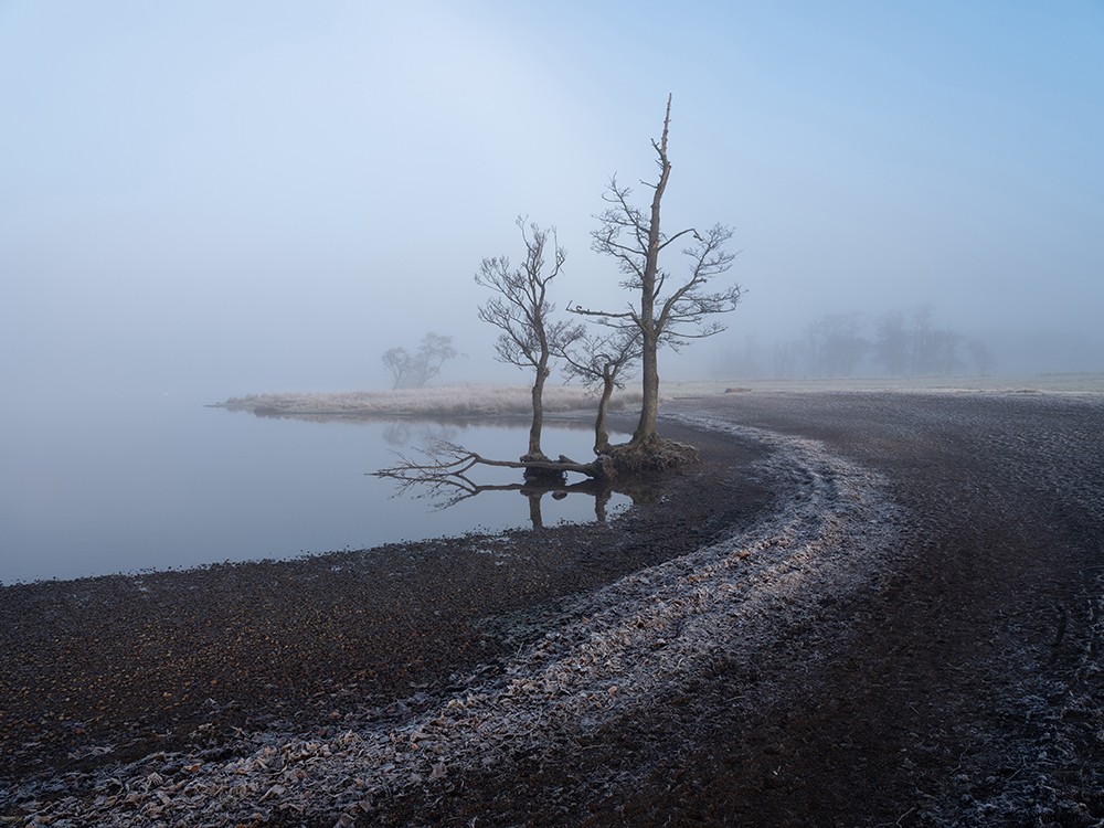 The Rise of Photography Vans: Post-Lockdown Freedom on the Road