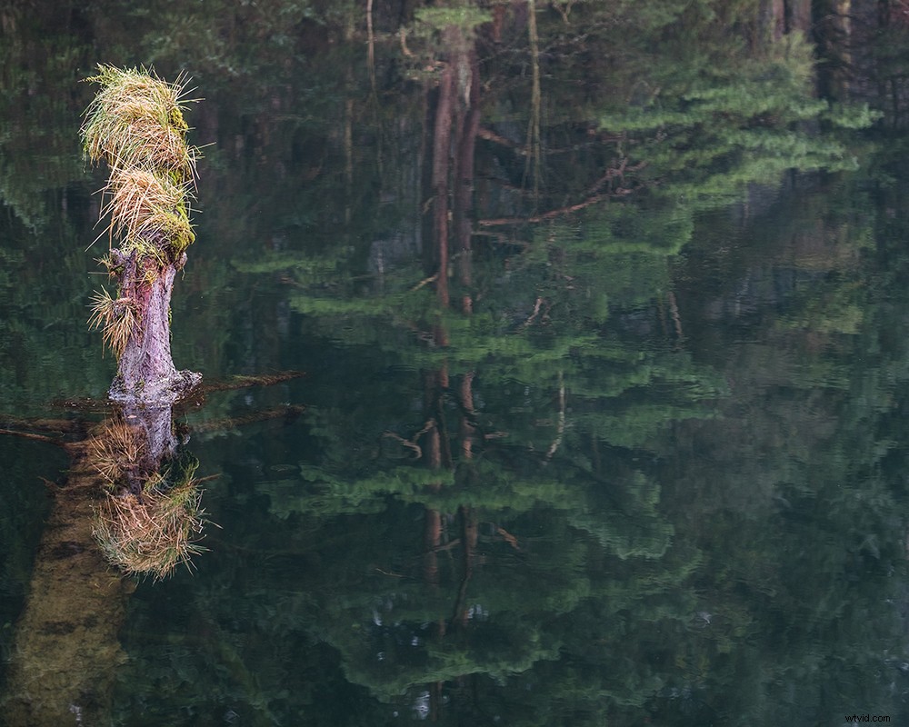 Intimate Spring Landscapes: Expert Tips for Standout Photography