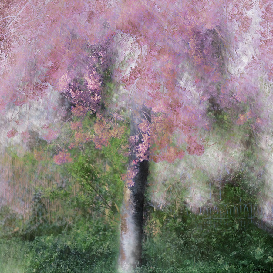 Intimate Spring Landscapes: Expert Tips for Standout Photography