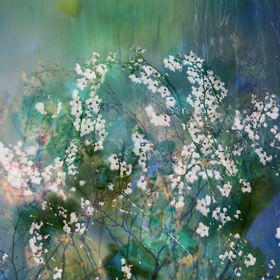 Intimate Spring Landscapes: Expert Tips for Standout Photography