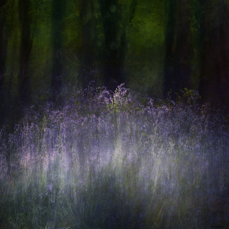 Intimate Spring Landscapes: Expert Tips for Standout Photography