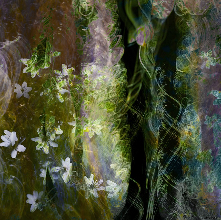 Intimate Spring Landscapes: Expert Tips for Standout Photography