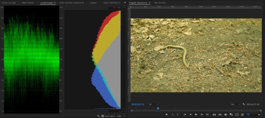 Master Crushed Shadows & Blown Highlights: Essential Guide with Examples