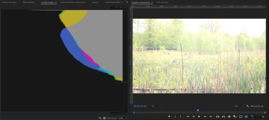 Master Crushed Shadows & Blown Highlights: Essential Guide with Examples