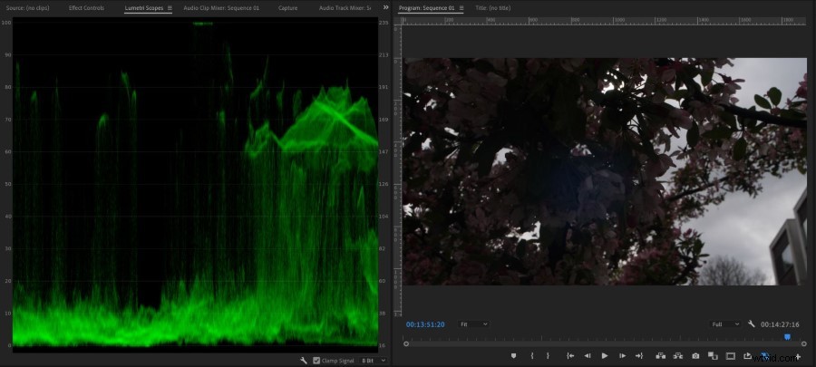 Master Crushed Shadows & Blown Highlights: Essential Guide with Examples