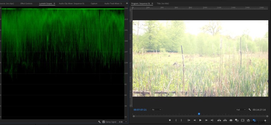 Master Crushed Shadows & Blown Highlights: Essential Guide with Examples