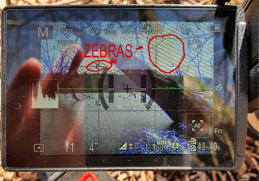 Master Crushed Shadows & Blown Highlights: Essential Guide with Examples