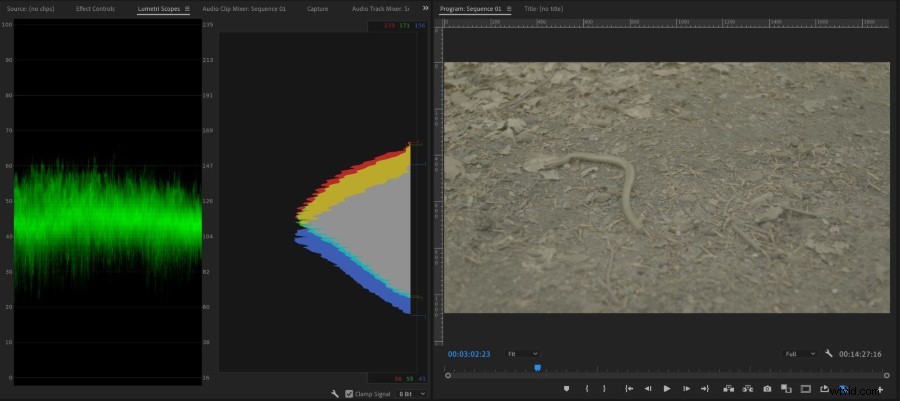 Master Crushed Shadows & Blown Highlights: Essential Guide with Examples
