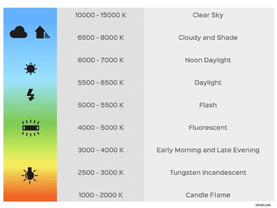 Ultimate Guide: Camera Looks, LOG Profiles, LUTs, White Balance, Picture Profiles & RAW Explained