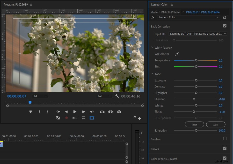 Ultimate Guide: Camera Looks, LOG Profiles, LUTs, White Balance, Picture Profiles & RAW Explained