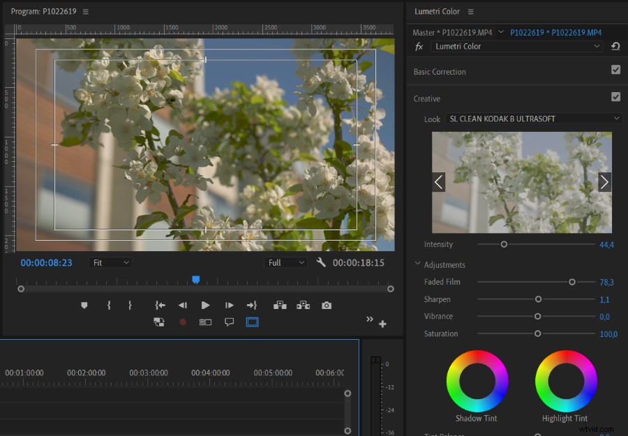 Ultimate Guide: Camera Looks, LOG Profiles, LUTs, White Balance, Picture Profiles & RAW Explained