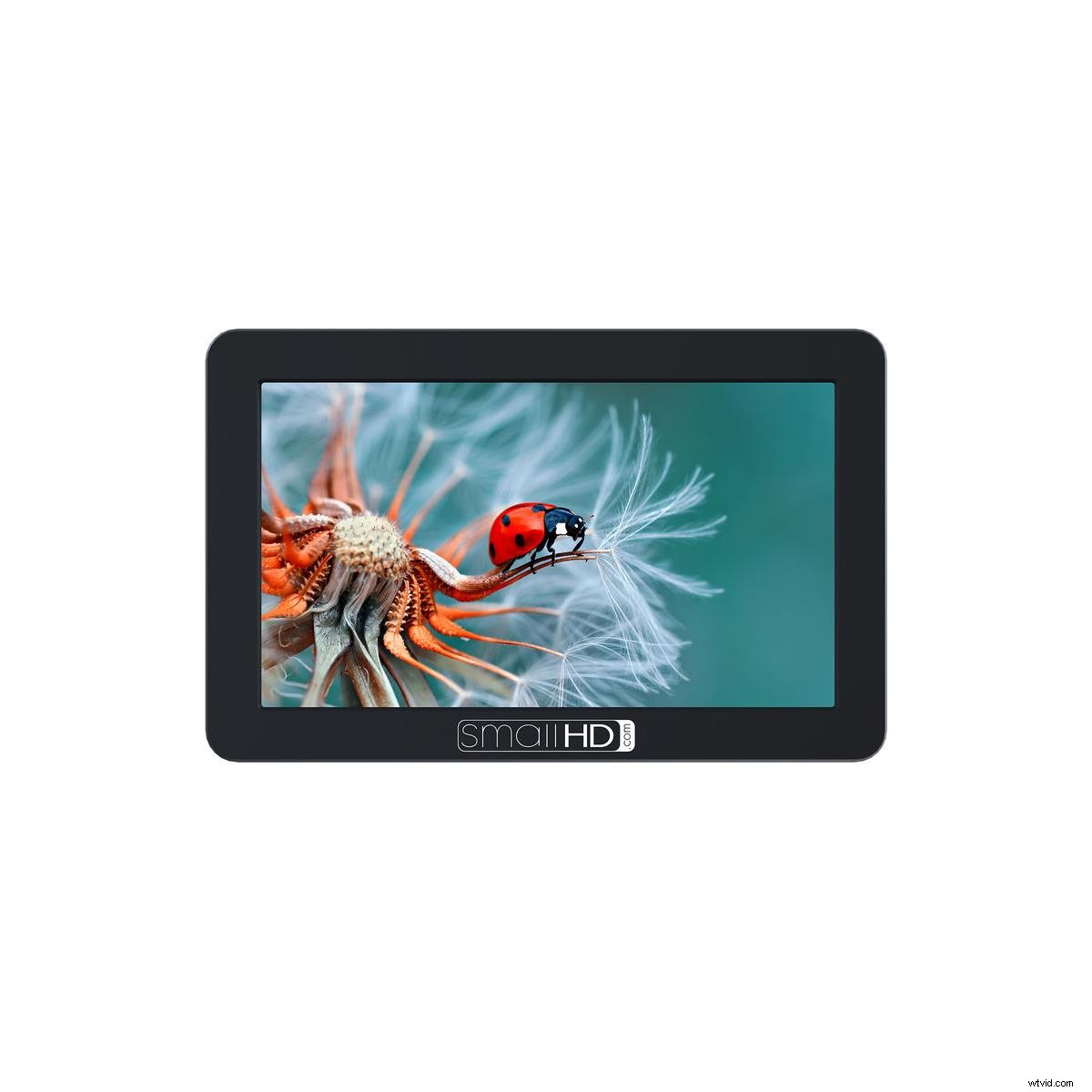 Top 10 Best Budget External On-Camera Monitors for Video Production in 2022