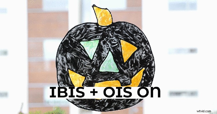 Panasonic GH5 vs GH5S: Expert Real-World Comparison to Help You Choose