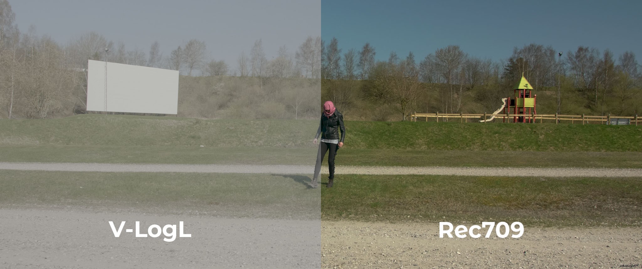 Panasonic GH5 vs GH5S: Expert Real-World Comparison to Help You Choose