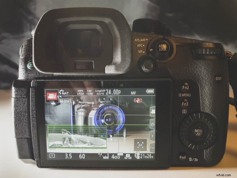 Panasonic GH5 vs GH5S: Expert Real-World Comparison to Help You Choose