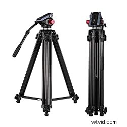 Best Budget Tripods for Mirrorless Cameras: Top Picks for Photography & Video (2024)