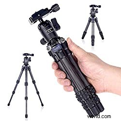 Best Budget Tripods for Mirrorless Cameras: Top Picks for Photography & Video (2024)