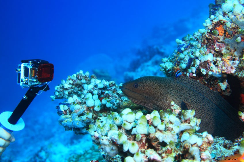 GoPro for Filmmaking: Pros, Cons, and Tips for Cinematic Results