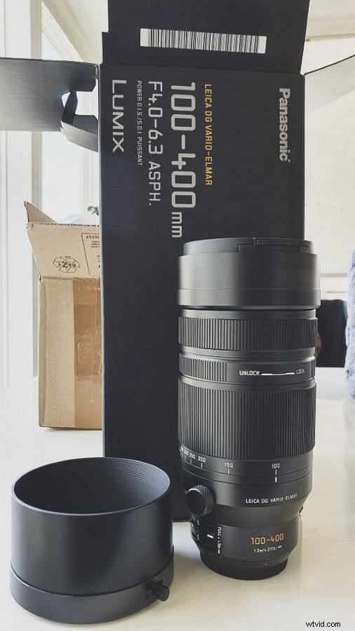 Panasonic Leica 100-400mm f/4-6.3 Lens Review: In-Depth Tests, Videos & Photo Samples