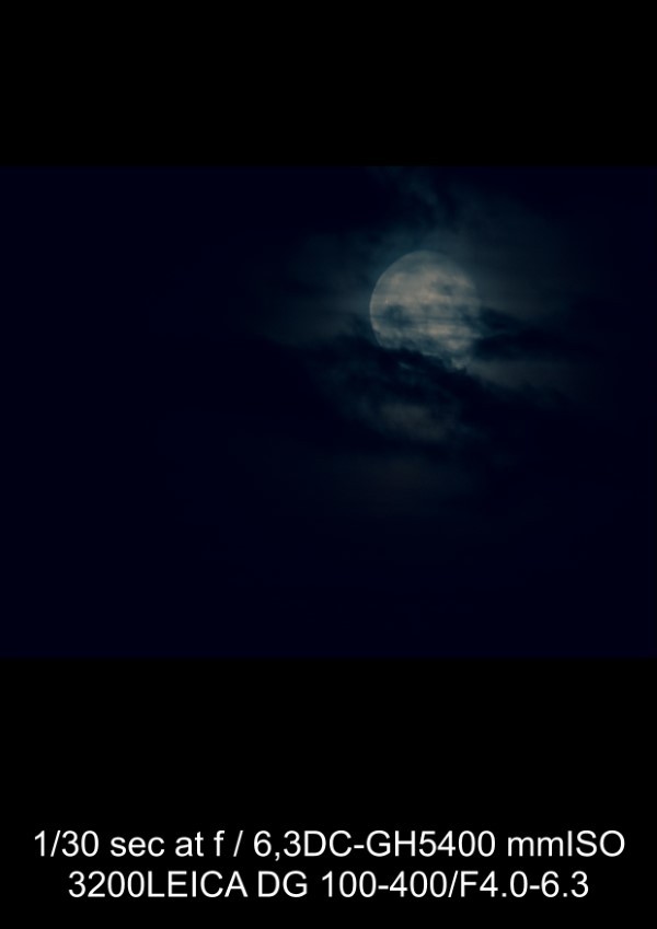 Panasonic Leica 100-400mm f/4-6.3 Lens Review: In-Depth Tests, Videos & Photo Samples