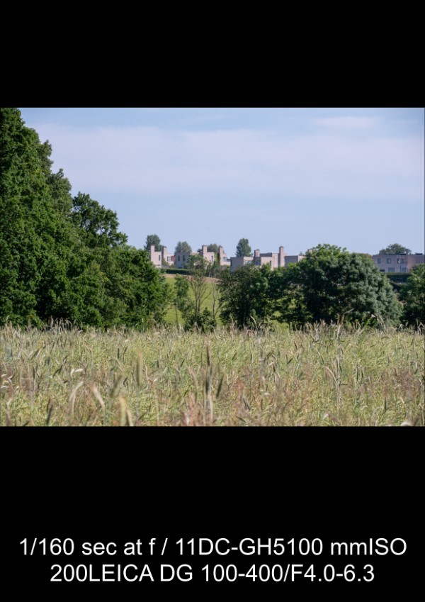 Panasonic Leica 100-400mm f/4-6.3 Lens Review: In-Depth Tests, Videos & Photo Samples