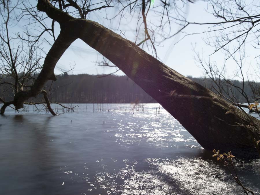 Moment Variable ND Filters: In-Depth Hands-On Review and Test