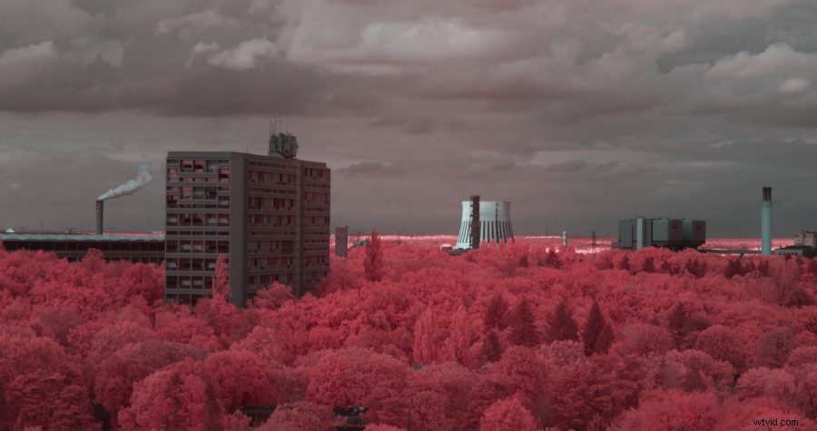 Panasonic EVA1 Review: Honest Hands-On Insights from Long-Term Owner