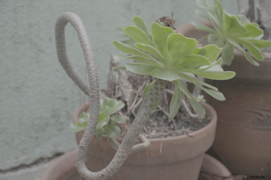 Sony A6500 Review 2022: Why It s Still an Exceptional Mirrorless Video Camera