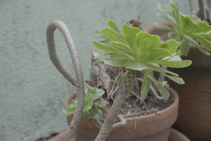 Sony A6500 Review 2022: Why It s Still an Exceptional Mirrorless Video Camera