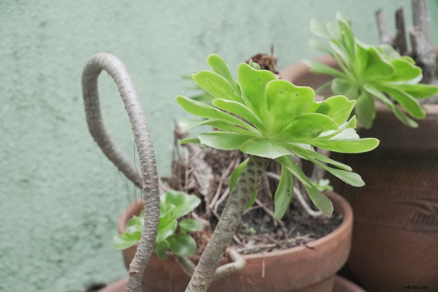 Sony A6500 Review 2022: Why It s Still an Exceptional Mirrorless Video Camera