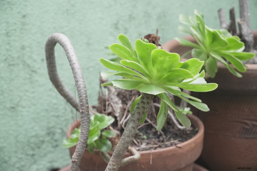 Sony A6500 Review 2022: Why It s Still an Exceptional Mirrorless Video Camera