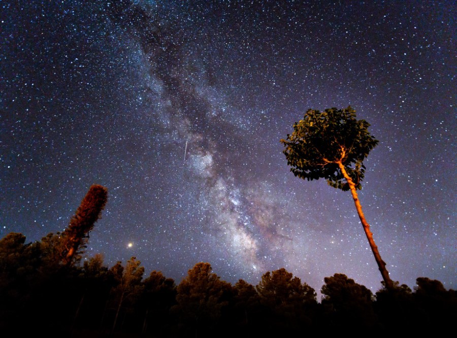 Laowa 7.5mm f/2.0 Review: The Ultimate Wide-Angle Lens for Micro Four Thirds?