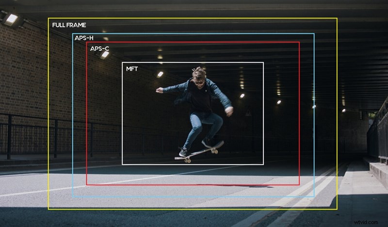 Understanding Camera Sensor Sizes: Full-Frame, Crop, APS-C & Micro Four Thirds Explained