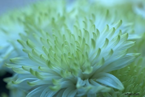 Understanding Color Temperature: How It Perfectly Shapes Your Video Lighting